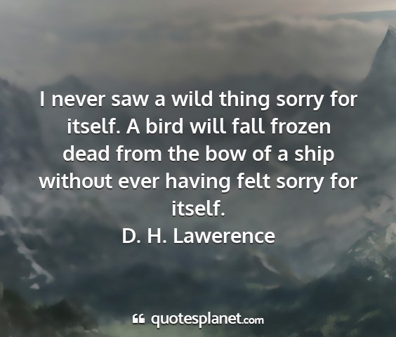 D. h. lawerence - i never saw a wild thing sorry for itself. a bird...