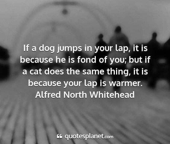 Alfred north whitehead - if a dog jumps in your lap, it is because he is...